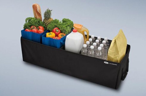 Discover Ford Bronco Accessories in PR, Cargo Organizer Soft Sided Large, Folding, Ford Logo